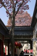 南京：满庭春色入画来